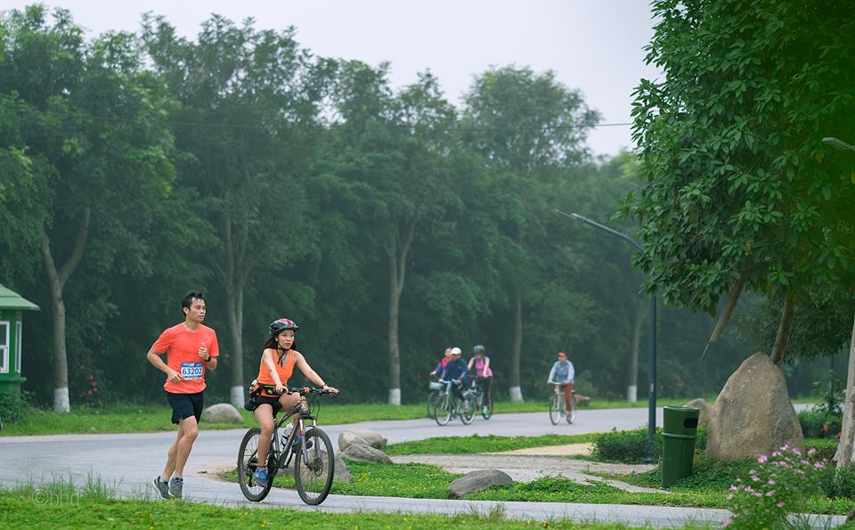 Mục kích đường chạy marathon Hoa vàng trên cỏ xanh Ecopark